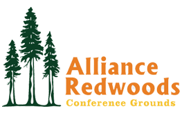 Footer Logo